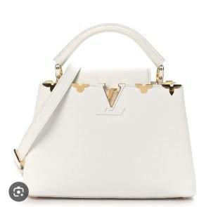 Louis_Vuittion_LV_Capucines_BB_Handbag_With_box_6205