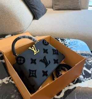 Louiss vuitton_capaucine_premium_quality_with_box_6214